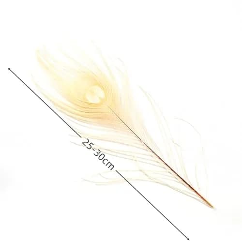 Shekyeon Natural Dyeing Peacock Feathers 25-30cm (10-12 Inch) Pack of 10 | Off-White Wedding & Craft Decor thumbnail 3