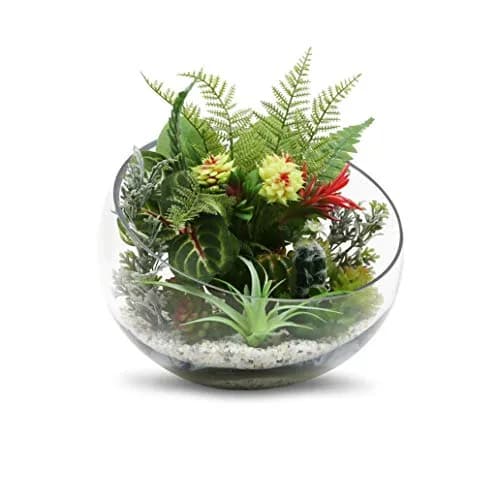 WGVI Slant Cut Bowl Glass Vase | 11" Width, 9.5" Height | Clear Terrarium & Floral Container thumbnail 4