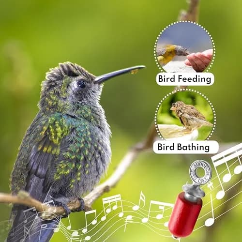 Audubon Bird Call Red Gift Pack - 2.5 inch (6.35 cm) | Authentic USA Import for Bird Watching thumbnail 4