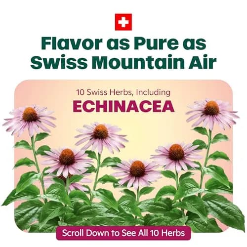 Ricola Throat Drops Echinacea Honey Lemon 45 Count | Swiss Herbal Relief with Menthol thumbnail 3