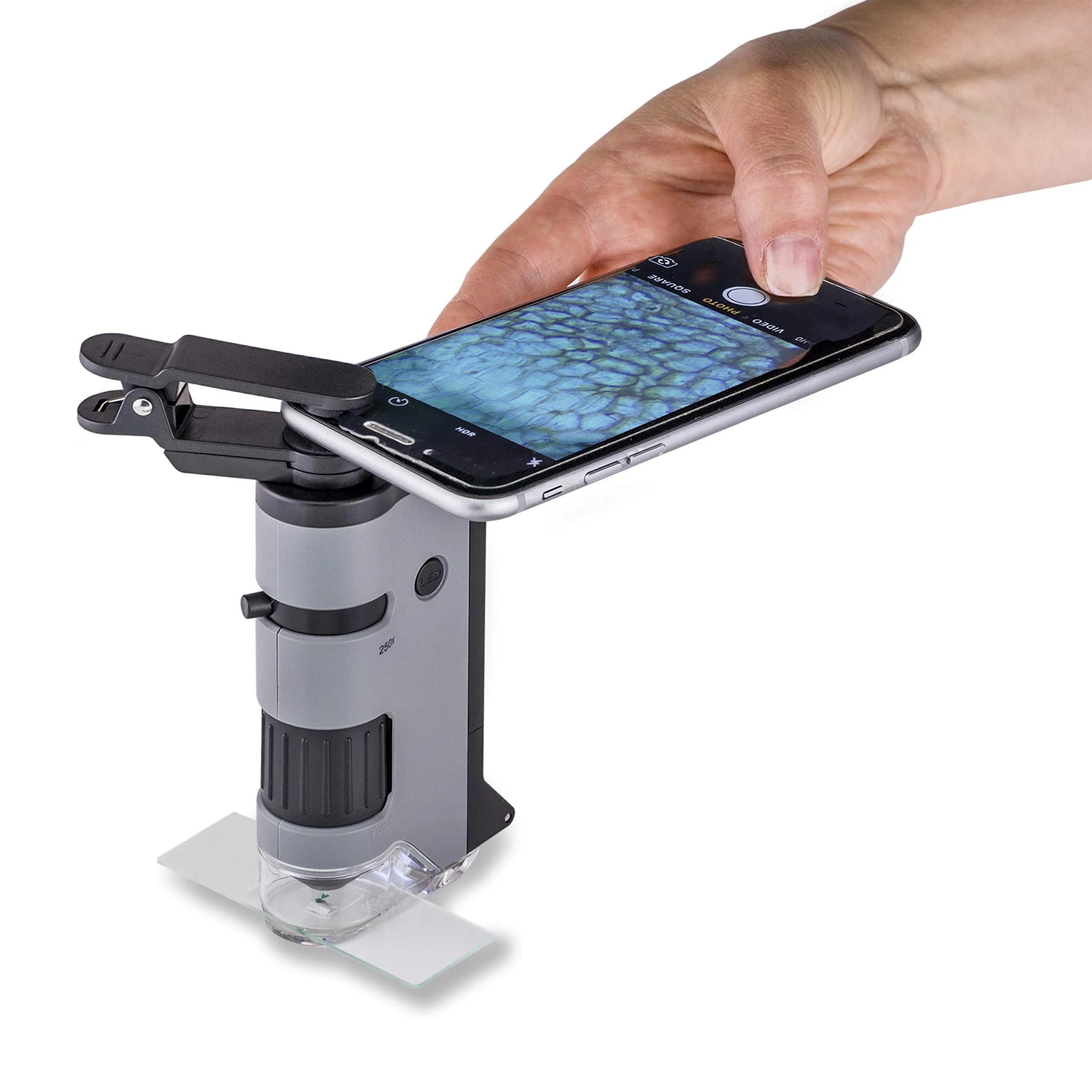 Carson MicroFlip 100x-250x LED & UV Pocket Microscope Set of 4 | STEM Handheld Microscope with Smartphone Adapter Clip - view 7