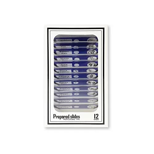 Carson MicroFlip 100x-250x LED & UV Pocket Microscope with Smartphone Adapter & 24 Prepared Slides | STEM Educational Tool thumbnail 6