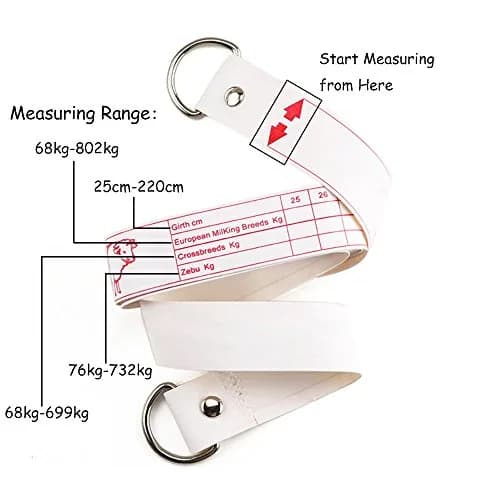 WIN TAPE Professional Cattle Weight (KG) & Height (CM) Tape Measure | Accurate Livestock Measurement thumbnail 4