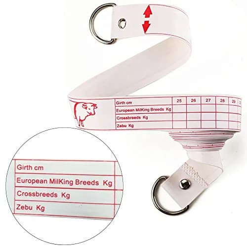 WIN TAPE Professional Cattle Weight (KG) & Height (CM) Tape Measure | Accurate Livestock Measurement thumbnail 2