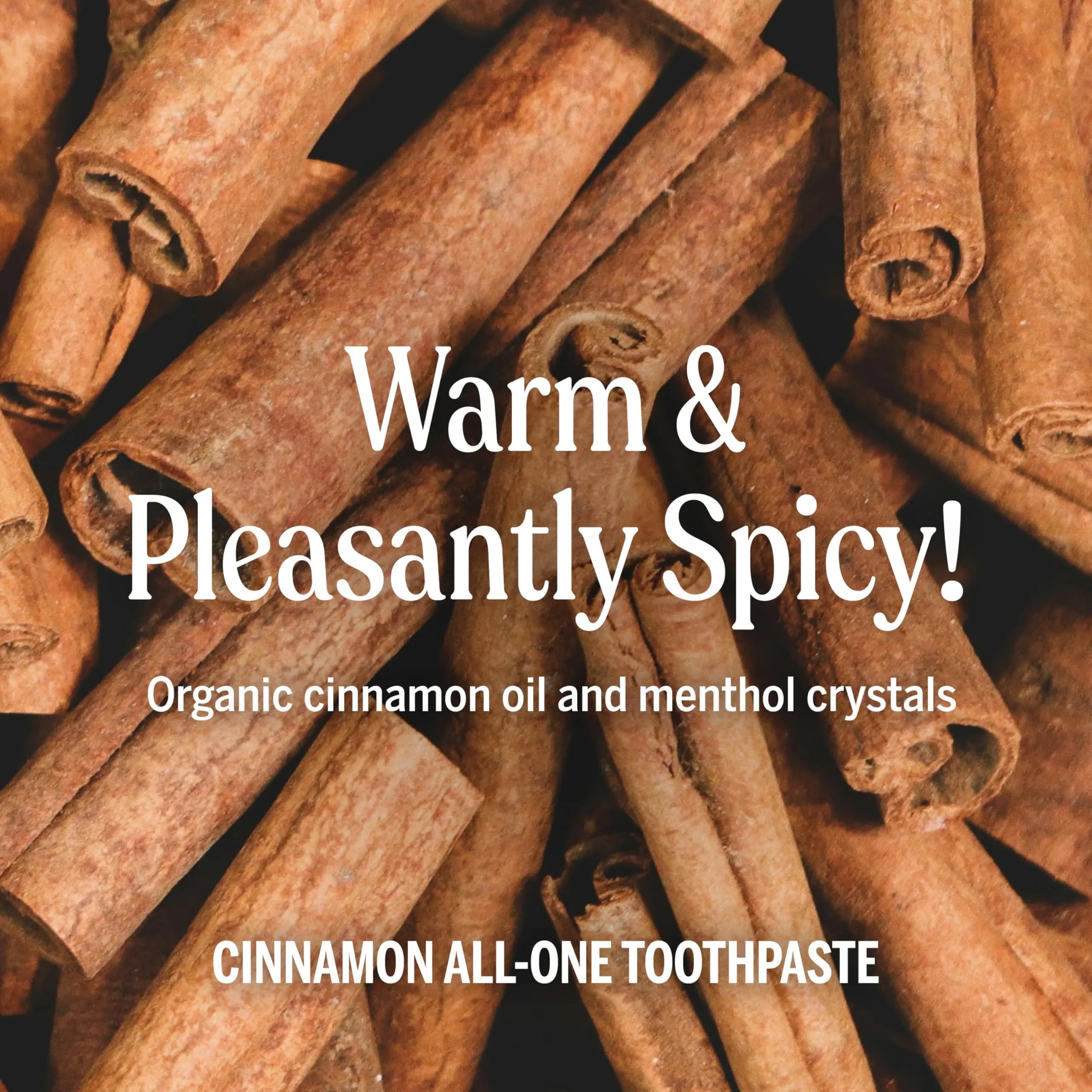 Dr. Bronner's Cinnamon All-One Toothpaste 450g (16 oz) | Fluoride-Free & Vegan - view 4