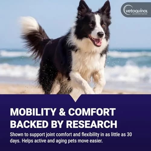 Vetoquinol Flexadin Advanced Hip and Joint Supplement for Dogs & Cats, 60 Chews | Clinically Proven Vet-Approved Formula thumbnail 4