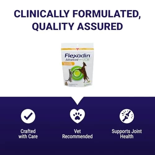 Vetoquinol Flexadin Advanced Hip and Joint Supplement for Dogs & Cats, 60 Chews | Clinically Proven Vet-Approved Formula thumbnail 6