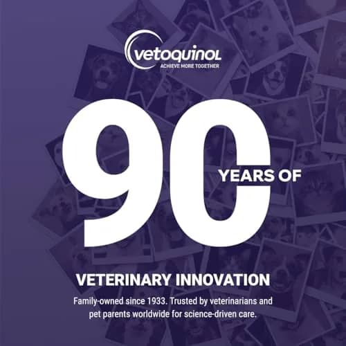 Vetoquinol Flexadin Advanced Hip and Joint Supplement for Dogs & Cats, 60 Chews | Clinically Proven Vet-Approved Formula thumbnail 7