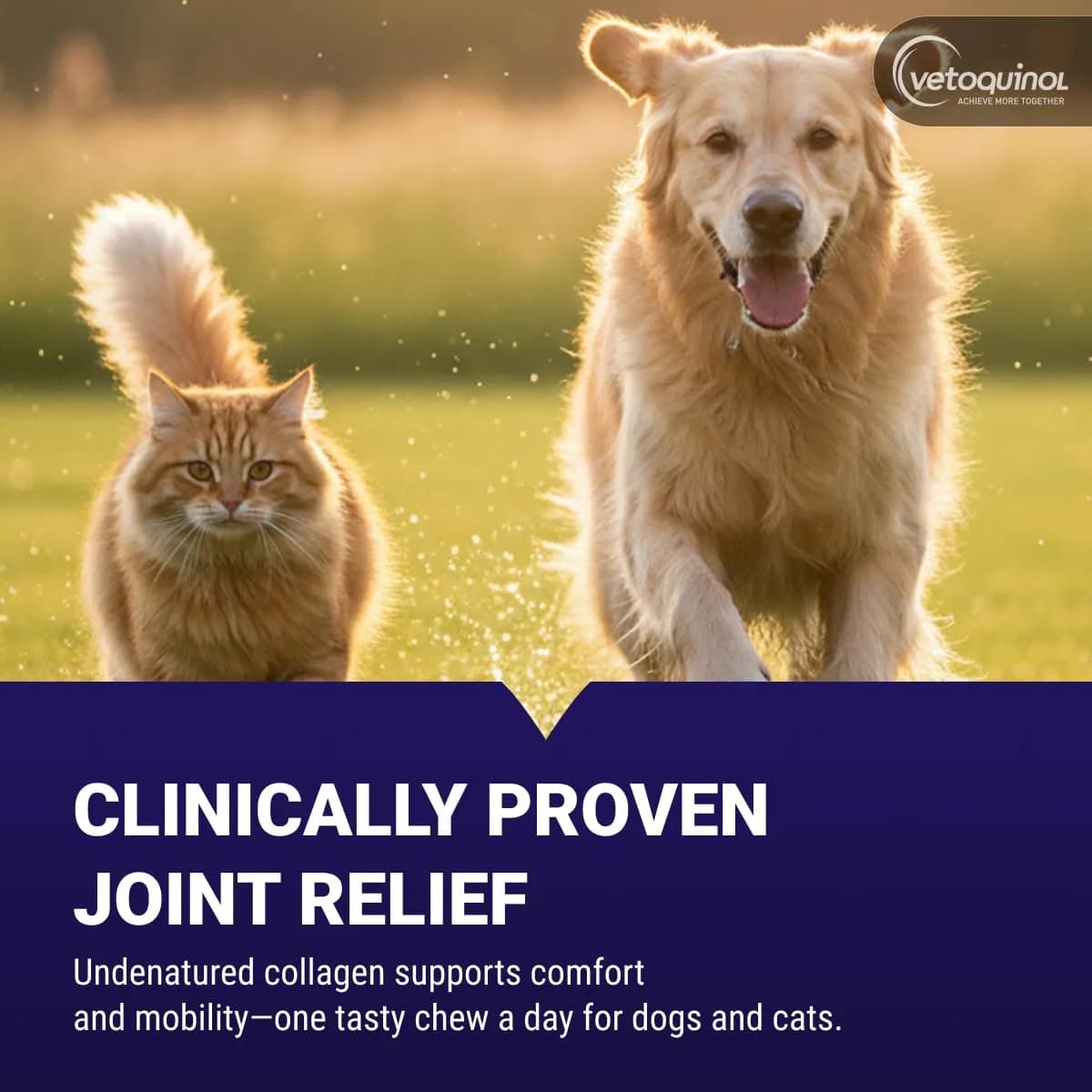 Vetoquinol Flexadin Advanced Hip and Joint Supplement for Dogs & Cats, 60 Chews | Clinically Proven Vet-Approved Formula - view 2