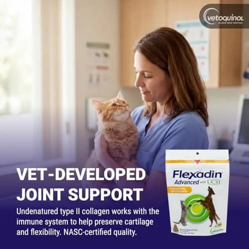 Vetoquinol Flexadin Advanced Hip and Joint Supplement for Dogs & Cats, 60 Chews | Clinically Proven Vet-Approved Formula thumbnail 3