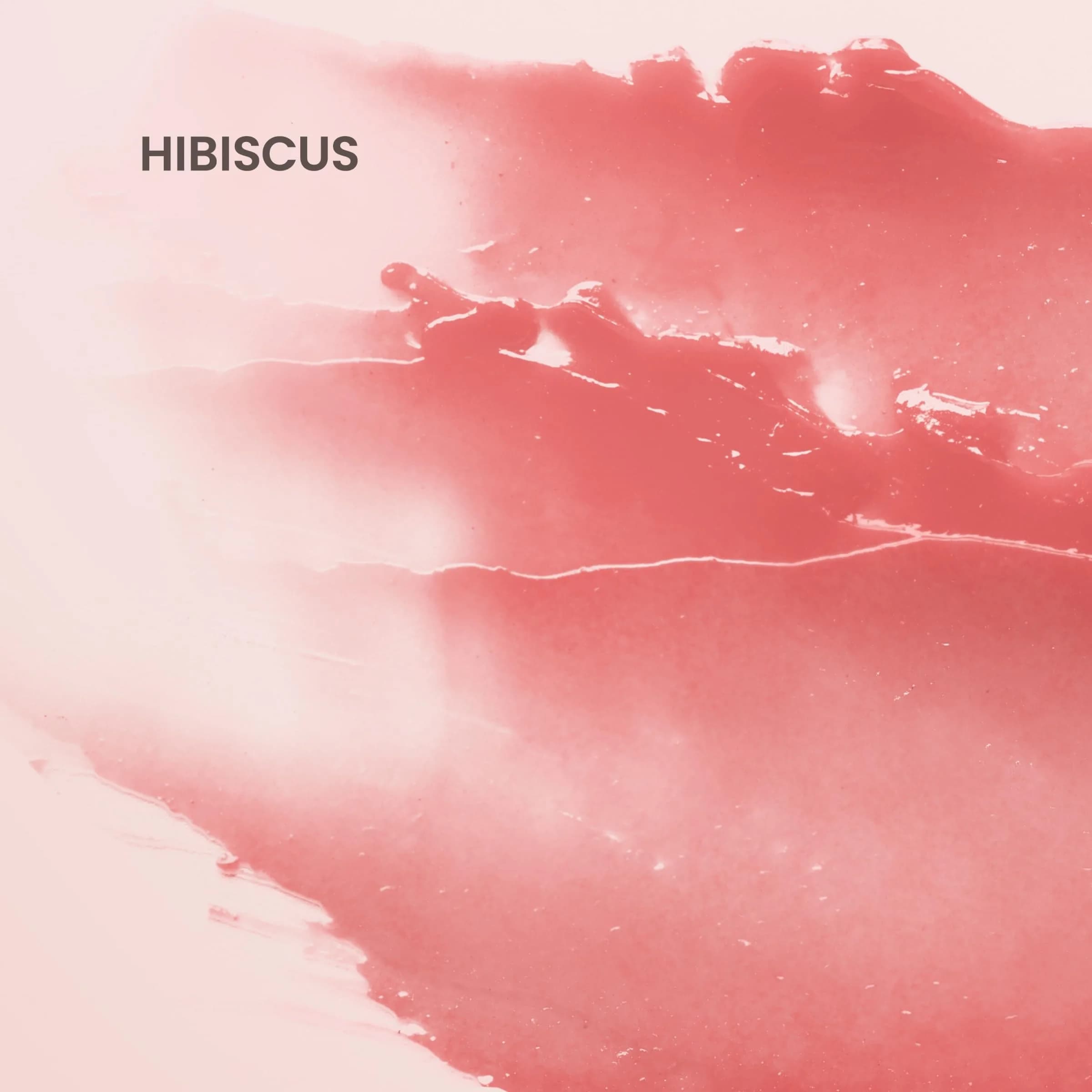 Burt's Bees Tinted Lip Balm in Hibiscus - 2 Count - view 4