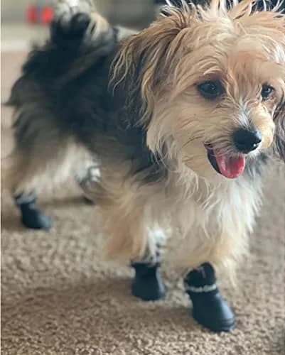 Cdycam Black Rubber Dog Paw Protectors | Waterproof Anti-Slip Rain Boots for Small to Large Paws (XL: 7.6cm L x 6.1cm W) thumbnail 6