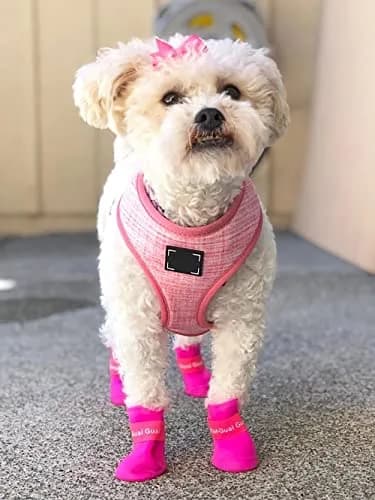 Cdycam Cute Little Pet Dog Puppy Rain Snow Boots Shoes Booties Candy Colors Rubber Waterproof Anti-Slip (Rose Red, X-Large) thumbnail 7