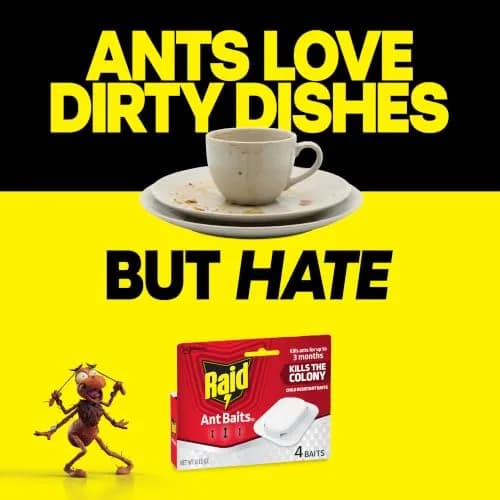 Raid Ant Killer Baits 4 Count | Kills Colony & Ants for 3 Months thumbnail 5