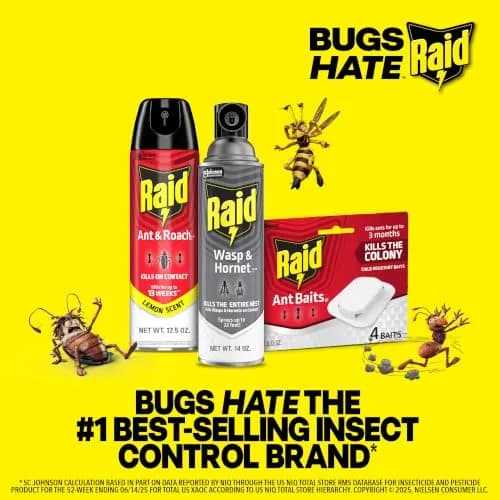 Raid Ant Killer Baits 4 Count | Kills Colony & Ants for 3 Months thumbnail 9