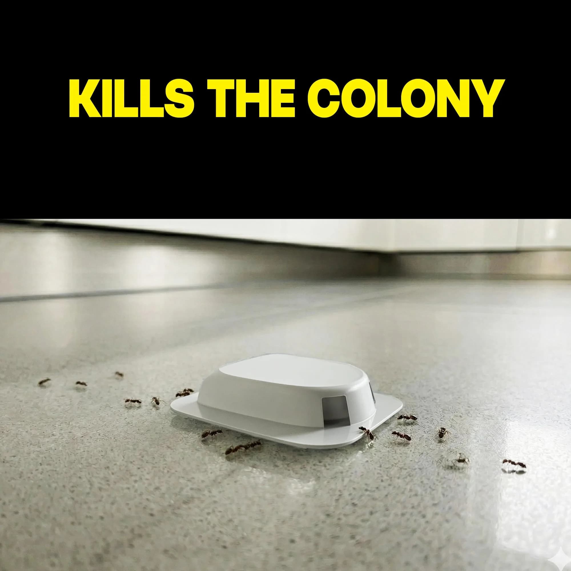 Raid Ant Killer Baits 4 Count | Kills Colony & Ants for 3 Months - view 2