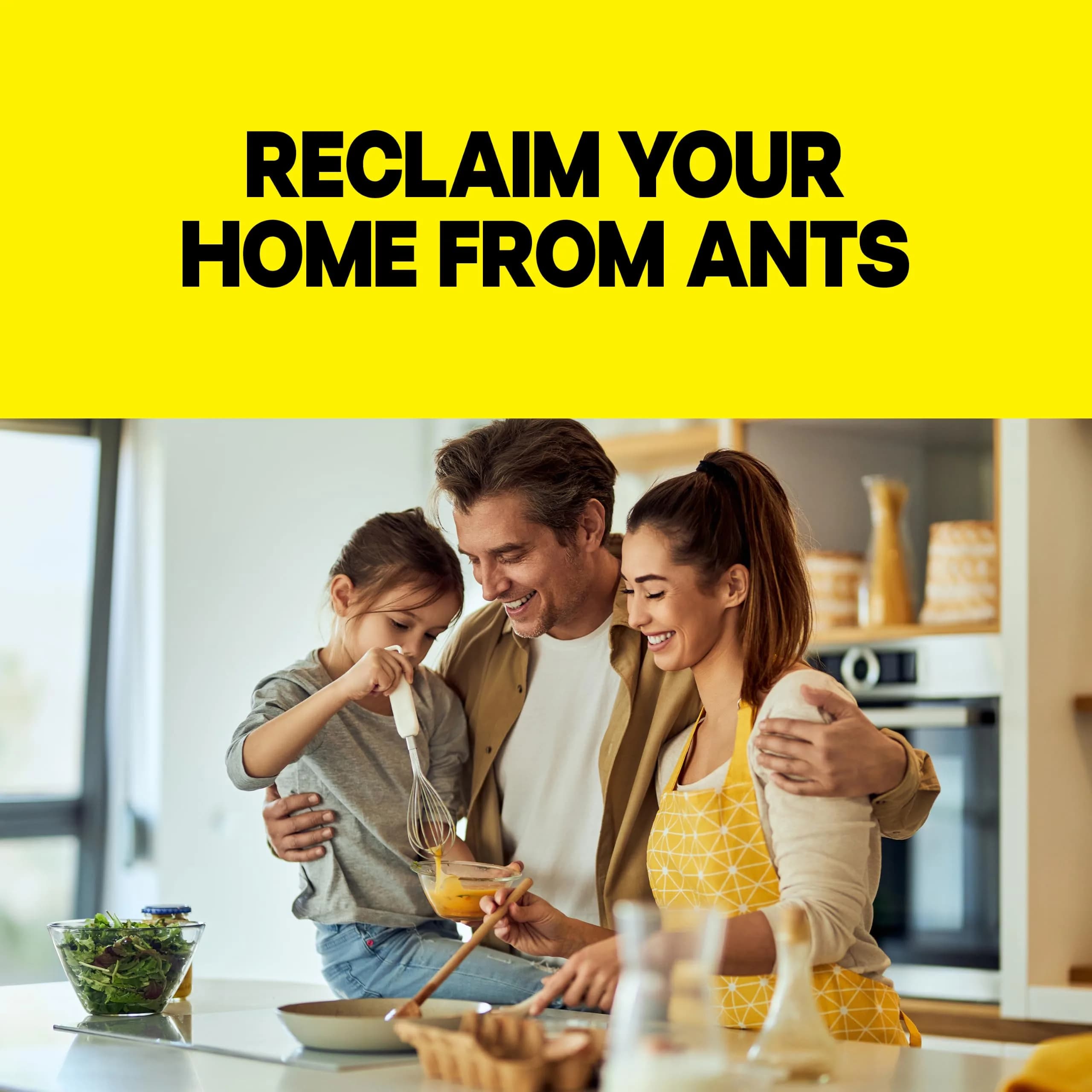 Raid Ant Killer Baits 4 Count | Kills Colony & Ants for 3 Months - view 4