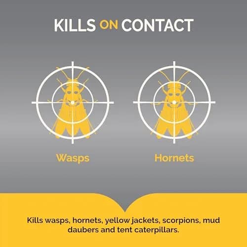 Hot Shot Wasp & Hornet Killer Aerosol Spray 496 ml (17.5 Fl Oz) 12-Pack | Kills Wasps, Hornets, Yellow Jackets & More on Contact thumbnail 2