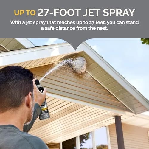 Hot Shot Wasp & Hornet Killer Aerosol Spray 496 ml (17.5 Fl Oz) 12-Pack | Kills Wasps, Hornets, Yellow Jackets & More on Contact thumbnail 3