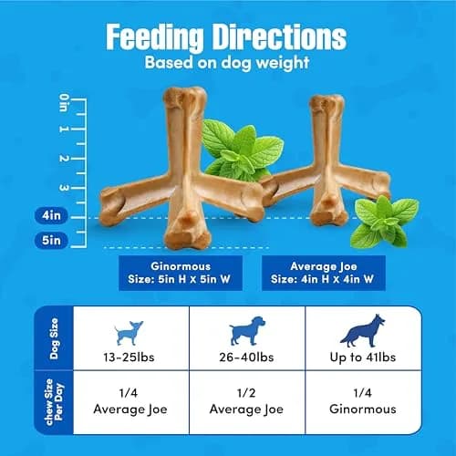 N-Bone Quado Edible Dog Chew Peanut Flavor | Organic Interactive Bone for Oral Health thumbnail 3