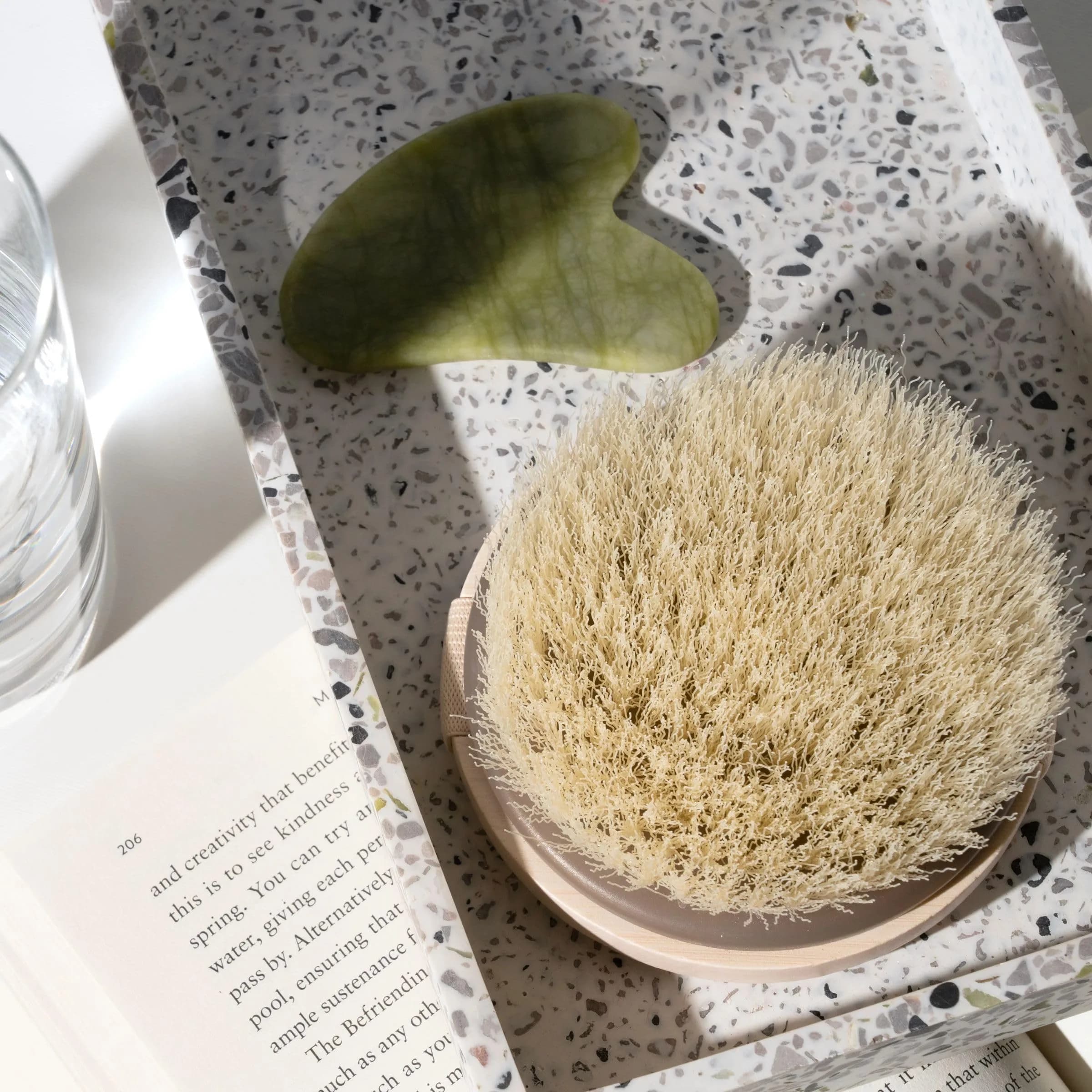 EcoTools Dry Body Brush for Dry Brushing, Smooth Skin, 1 Count | Gentle Exfoliation for Glowing Skin - view 5