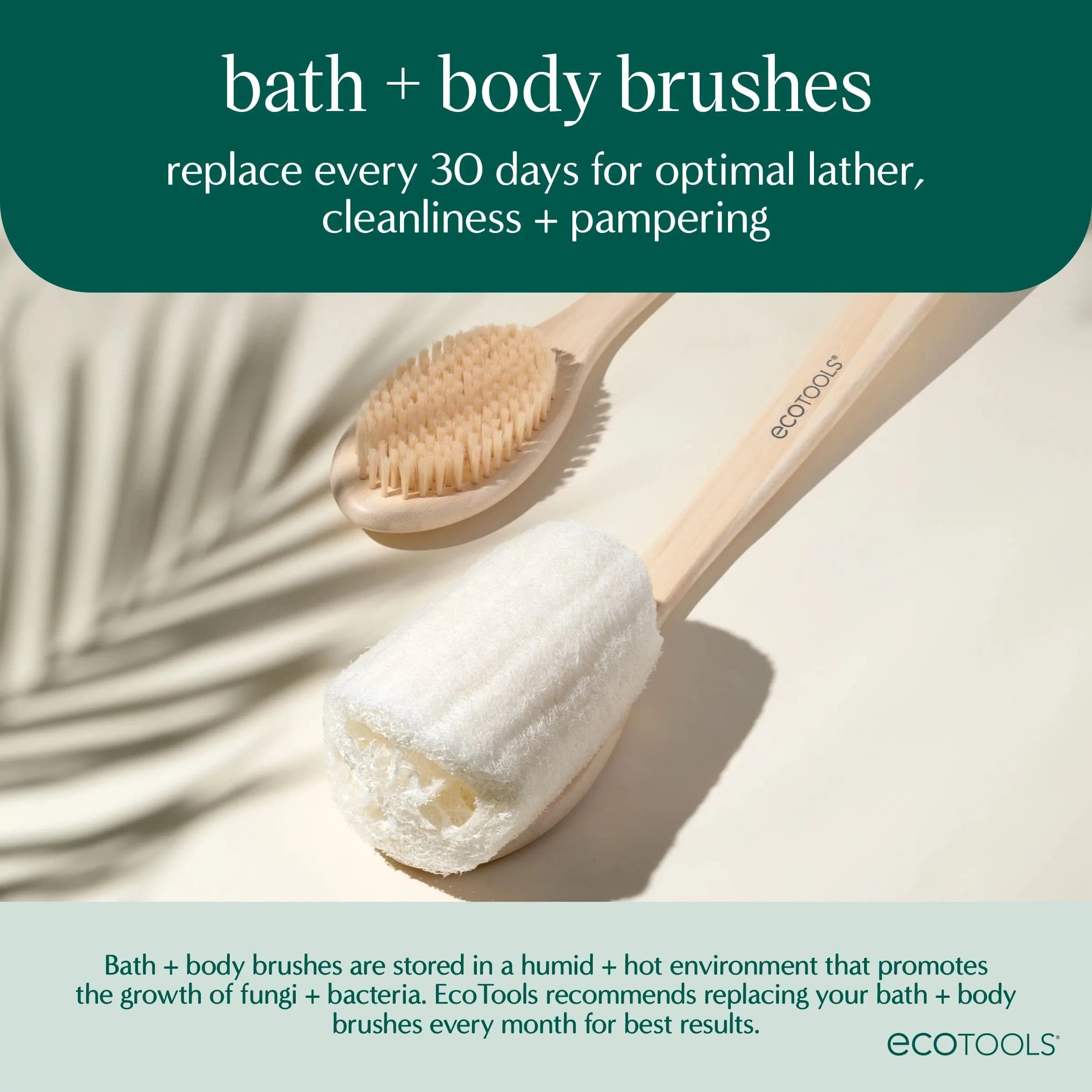 EcoTools Dry Body Brush for Dry Brushing, Smooth Skin, 1 Count | Gentle Exfoliation for Glowing Skin - view 6