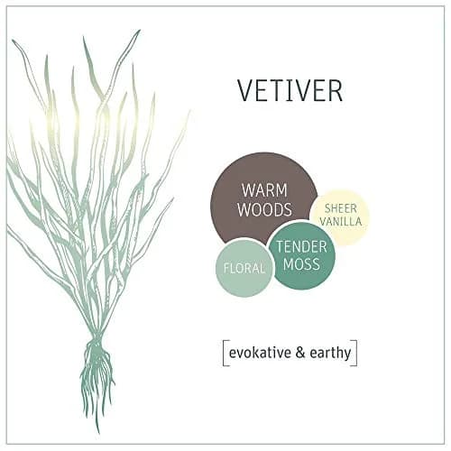 Grab Green Room and Fabric Freshener Spray, Vetiver, 21 Ounce | Natural Odor Neutralizer for Fabrics & Air thumbnail 4