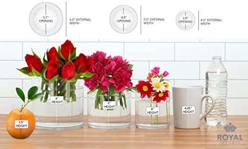 Royal Imports Acrylic Cylinder Flower Vase 5"x5" | Non-Breakable, Clear, Modern thumbnail 5