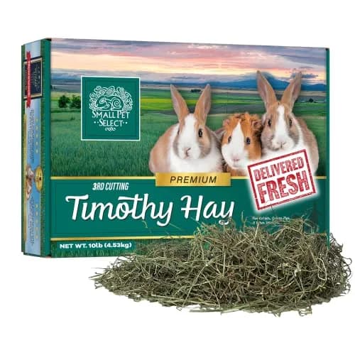 Small Pet Select 3rd Cutting Super Soft Timothy Hay 10 lb | Picky Eaters' Favorite, Grown in USA thumbnail 1