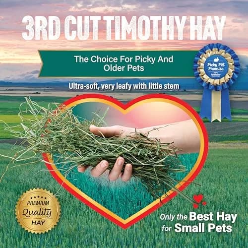 Small Pet Select 3rd Cutting Super Soft Timothy Hay 10 lb | Picky Eaters' Favorite, Grown in USA thumbnail 5