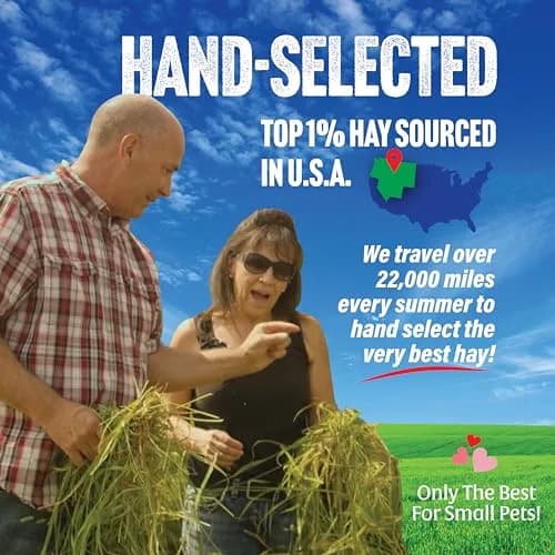 Small Pet Select 3rd Cutting Super Soft Timothy Hay 10 lb | Picky Eaters' Favorite, Grown in USA thumbnail 2