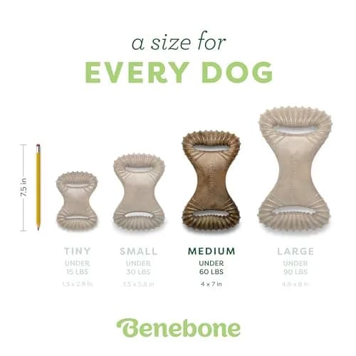 Benebone Dental Durable Dog Chew Toy for Aggressive Chewers, Real Peanut, Medium 230g (0.52 lb) | Tough Chew Toy for Strong Dogs thumbnail 4