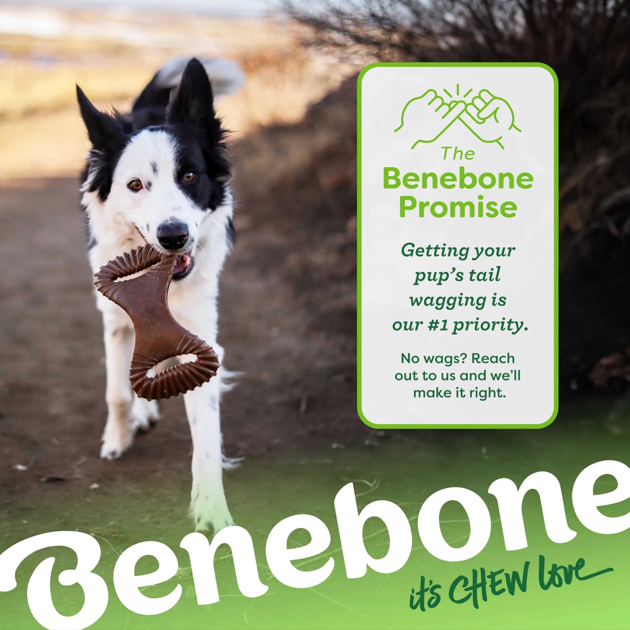 Benebone Dental Durable Dog Chew Toy for Aggressive Chewers, Real Peanut, Medium 230g (0.52 lb) | Tough Chew Toy for Strong Dogs - view 6