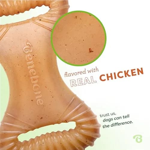 Benebone Dental Durable Dog Chew Toy for Aggressive Chewers, Real Chicken, Made in USA, Medium (0.23 kg) thumbnail 2