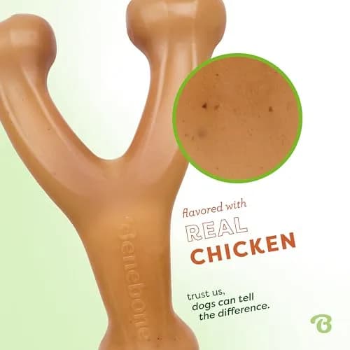 Benebone Wishbone Durable Dog Chew Toy Large Real Chicken Flavor | Tough Nylon for Aggressive Chewers thumbnail 2