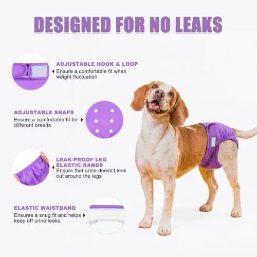 wegreeco XX-Large Dog Diapers | Reusable Female Dog Period Panties in Bright Color (4.5/5 ⭐ from 44851 reviews) thumbnail 4