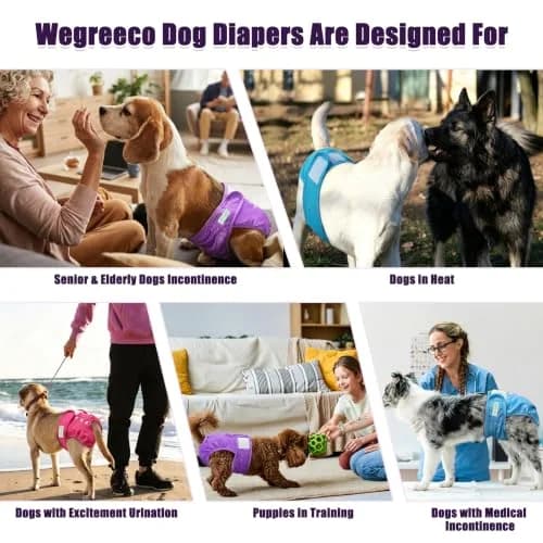 Wegreeco Extra Large Reusable Dog Diapers for Female Dogs | Premium Washable & Bright Color (19 in / 27 in Waist) thumbnail 7