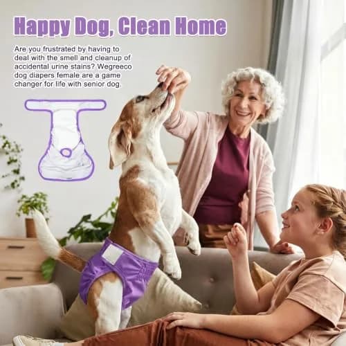 Wegreeco Extra Large Reusable Dog Diapers for Female Dogs | Premium Washable & Bright Color (19 in / 27 in Waist) thumbnail 2