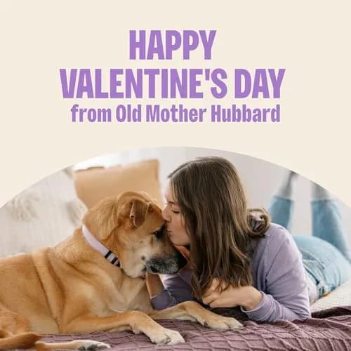 Old Mother Hubbard Bits of Love P-Nuttier Dog Biscuits 6 oz | Heart-Shaped Peanut Butter Treats for Dogs thumbnail 5