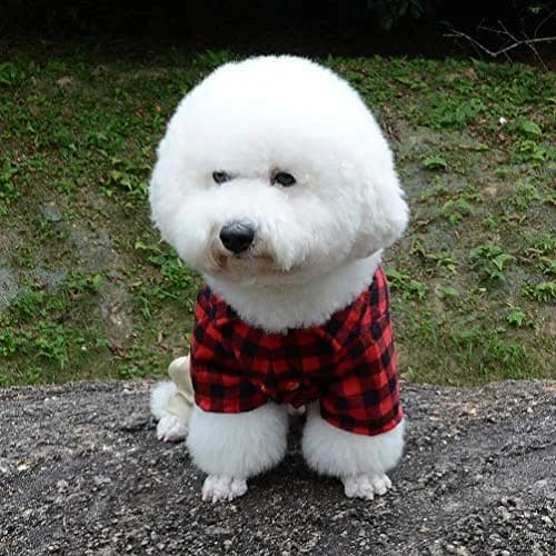 SMALLLEE_LUCKY_STORE Pet Clothes for Small Dog Cat XS | Red Plaid Shirt & Khaki Overalls with Snap Buttons thumbnail 7