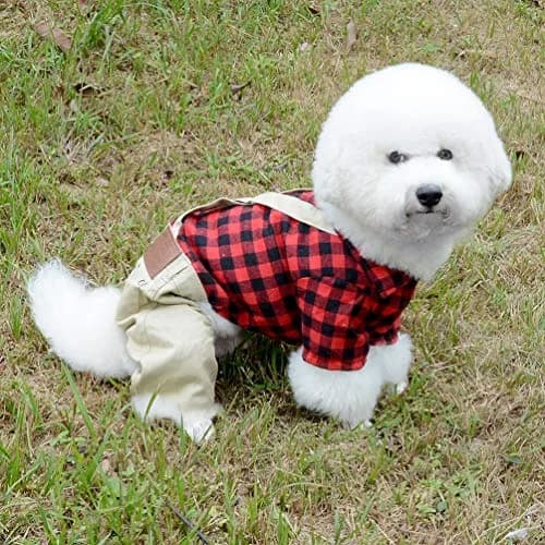 SMALLLEE_LUCKY_STORE Pet Clothes for Small Dog Cat Red Plaid Shirts Sweater with Khaki Overalls Pants Jumpsuit Outfits L | Easy Snap & High Belly Cut thumbnail 6