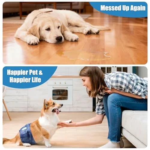 Wegreeco Male Dog Belly Bands Medium | Reusable, Adjustable & Leak-Free (15-17") thumbnail 6