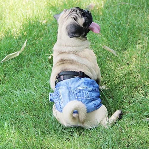 Wegreeco Male Dog Belly Bands Medium | Reusable, Adjustable & Leak-Free (15-17") thumbnail 7