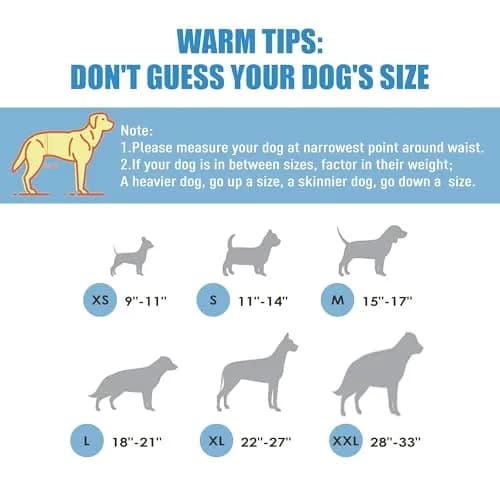 Wegreeco Male Dog Belly Bands Medium | Reusable, Adjustable & Leak-Free (15-17") thumbnail 3