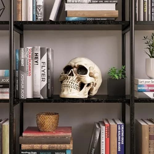 READAEER Halloween Skull Head, Life Size Resin Skull, Large Size Adult Skull Model for Home Decoration, Halloween Skull Statue (White) thumbnail 5
