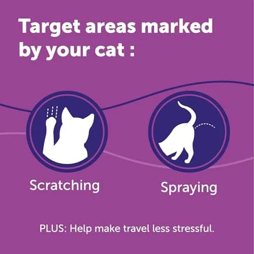FELIWAY Classic Cat Calming Spray 60ml (2 Fl Oz) | Vet Recommended Pheromone Calming thumbnail 4