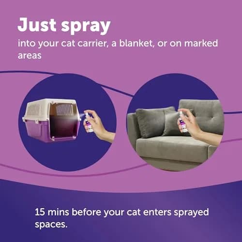 FELIWAY Classic Cat Calming Spray 60ml (2 Fl Oz) | Vet Recommended Pheromone Calming thumbnail 6