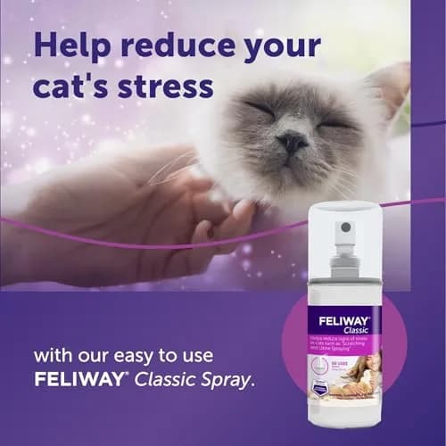 FELIWAY Classic Cat Calming Spray 60ml (2 Fl Oz) | Vet Recommended Pheromone Calming thumbnail 2
