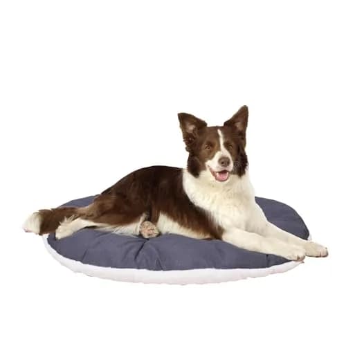 Ferplast Dog Bed Large Dog Cushion Washable Pet Mattress 85 x 55 cm | Cotton & Soft Padding thumbnail 1