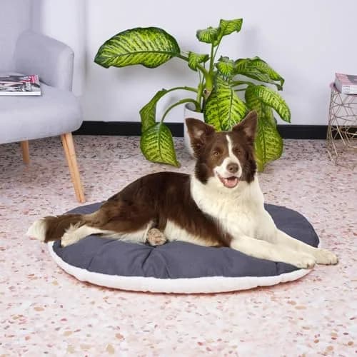Ferplast Dog Bed Large Dog Cushion Washable Pet Mattress 85 x 55 cm | Cotton & Soft Padding thumbnail 3